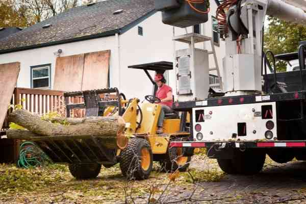 Tree-Service-of-Lafayette-hiring-the-right-tree-service-for-tree-removal-in-Lafayette-LA
